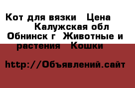 Кот для вязки › Цена ­ 2 000 - Калужская обл., Обнинск г. Животные и растения » Кошки   